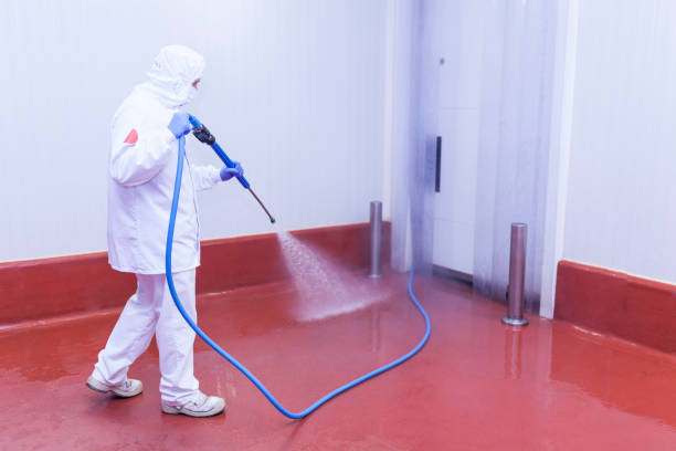 Boat and Dock Cleaning in Bluffton, SC